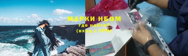 хмурый Алексин