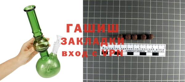 хмурый Алексин
