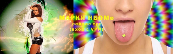 стафф Алзамай