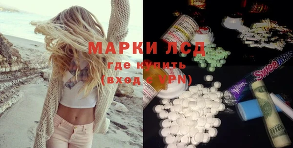 стафф Алзамай
