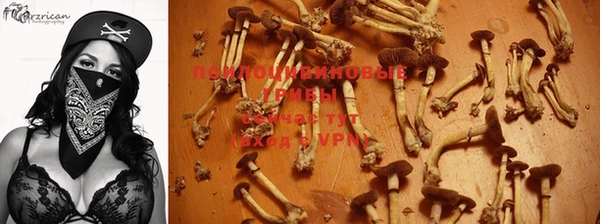 хмурый Алексин