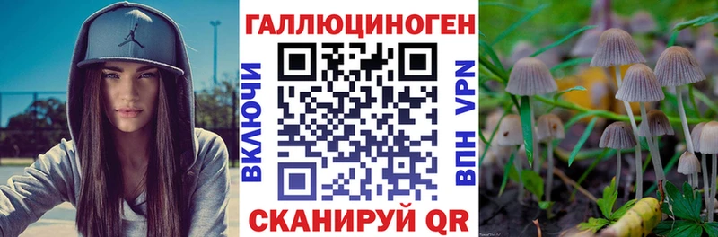 Галлюциногенные грибы Psilocybine cubensis MEGA ссылки Камешково